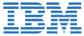 IBM Partner Logo